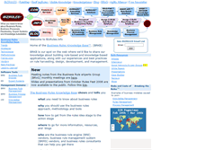 Tablet Screenshot of bizrules.info